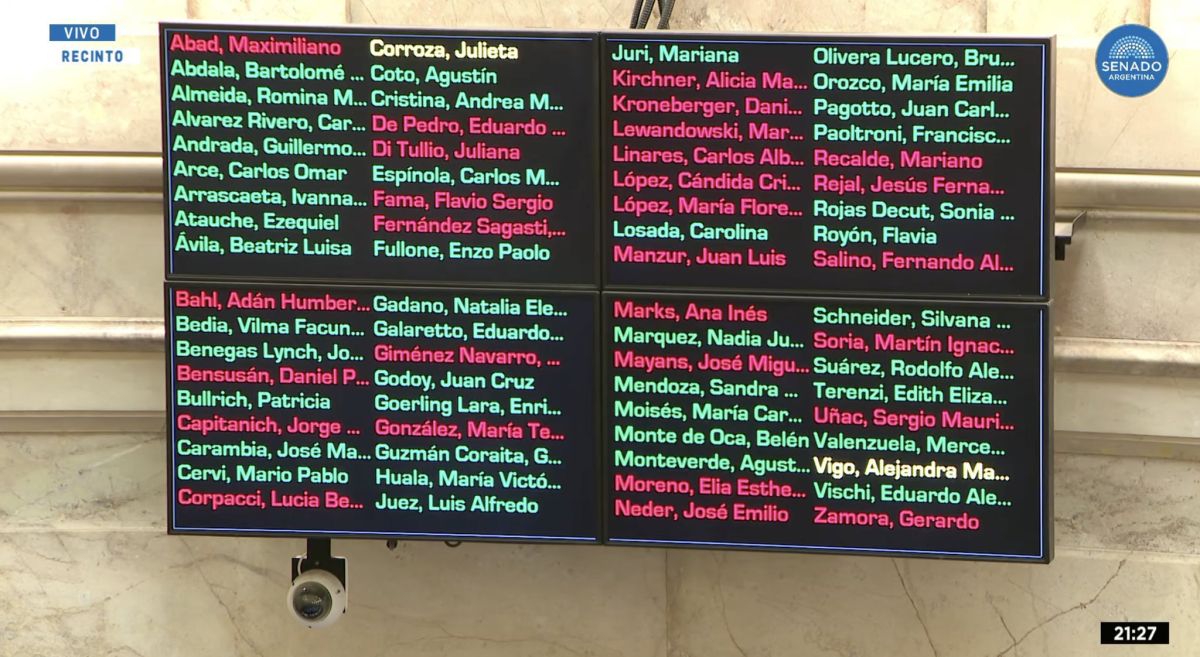 El Senado aprobó un presupuesto que recorta los fondos para la Educación y la Ciencia
